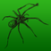 Fear of Spiders - Phobia Treatment